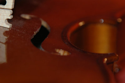 violin
