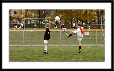 DSC_5460wfs.jpg