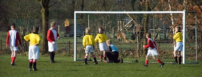 DSC_8448-w450s.jpg