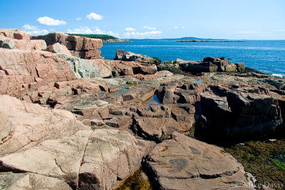 Maine Coastline