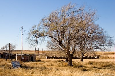 Old Homestead