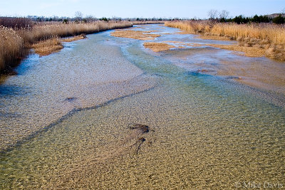 Canadian River