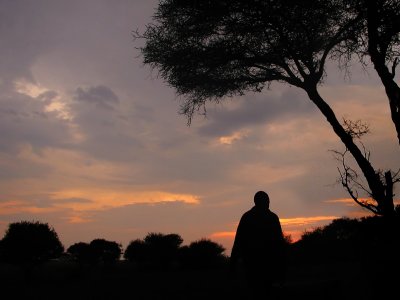 Serengeti sunset