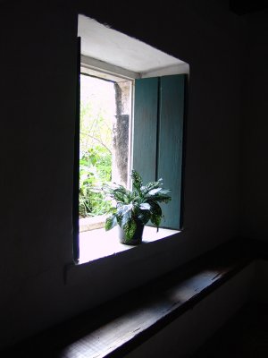 DSC06560.JPG