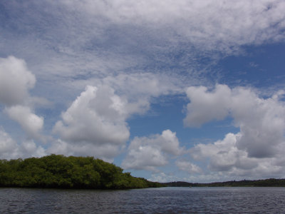 DSC06627.JPG