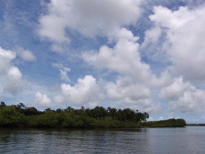 DSC06632.JPG
