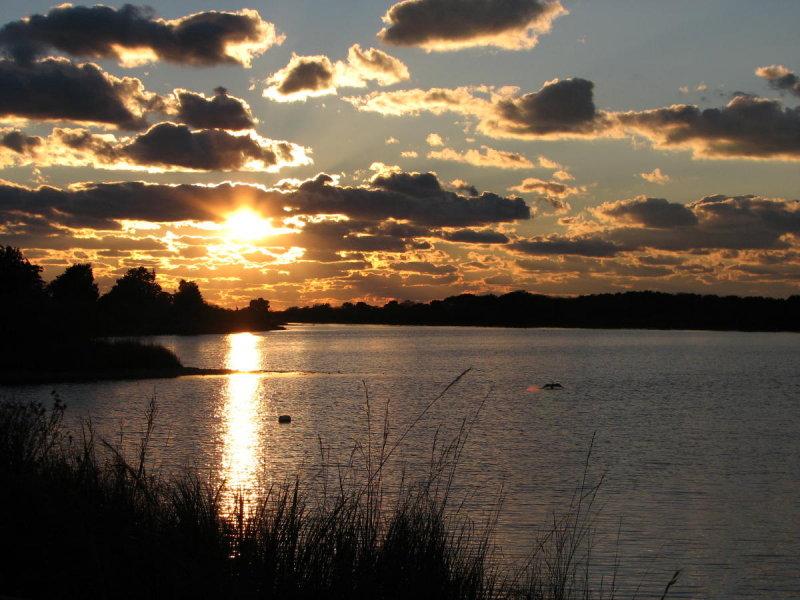 Edgartown Great Pond.jpg