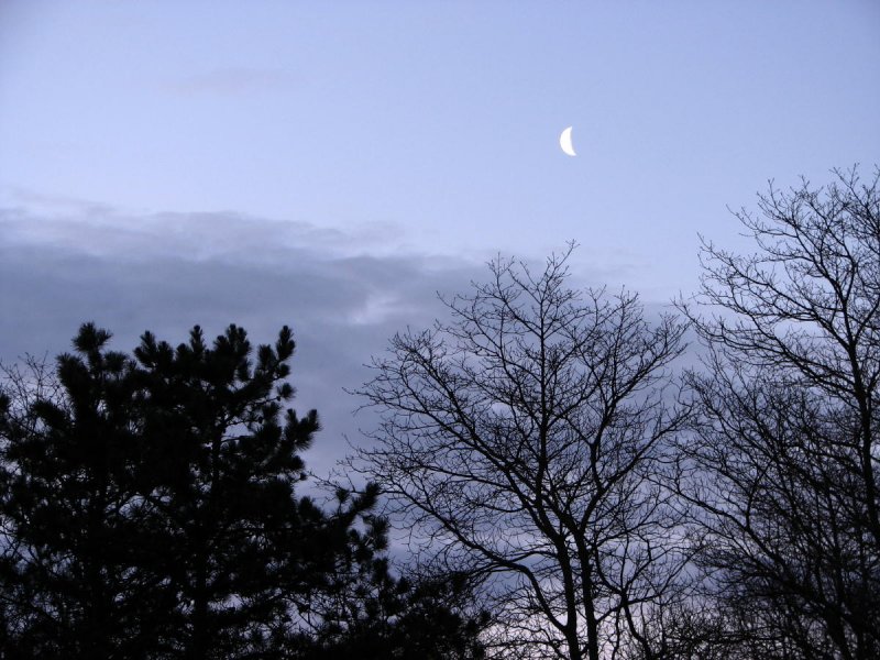 Morning Moon.jpg