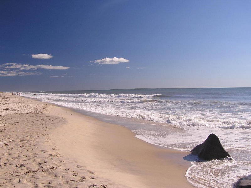 The Waters Too Cold.jpg
