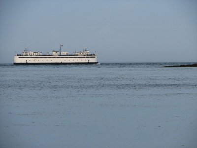 Vineyard Ferry.jpg