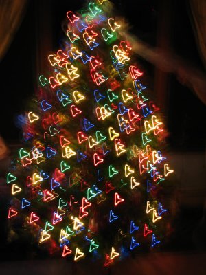 Tree Light Fun.jpg