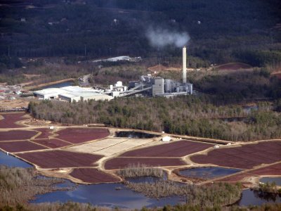 Cranberry Bogs of Cape Cod Massachusetts.jpg