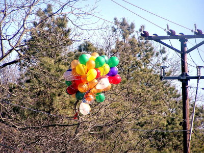 Electric Balloons.jpg