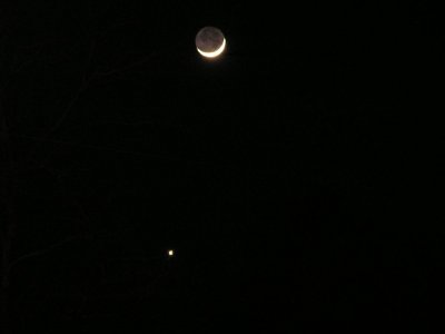 Mooning Venus.jpg