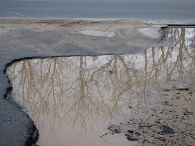Reflections of a Mud Puddle.jpg