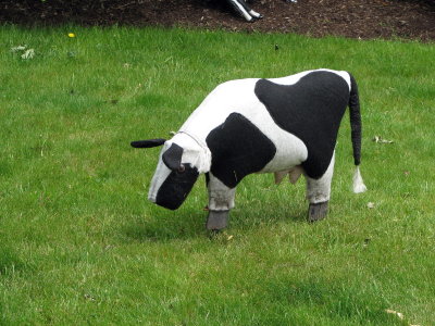 Cow Sighting.jpg