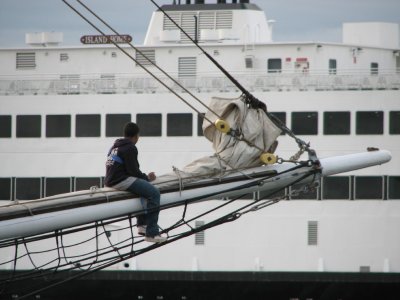 Best Seat in the House.jpg
