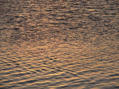 Surface Reflection.jpg