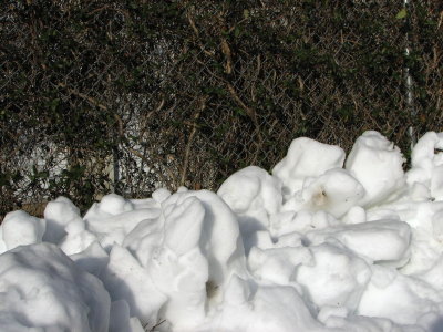 Snow Sculptures.jpg
