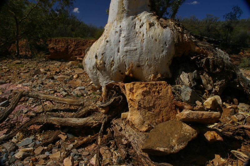 Flinders Ranges Sep 05 030