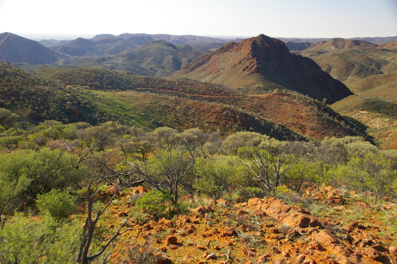 Flinders Ranges Sep 05 038