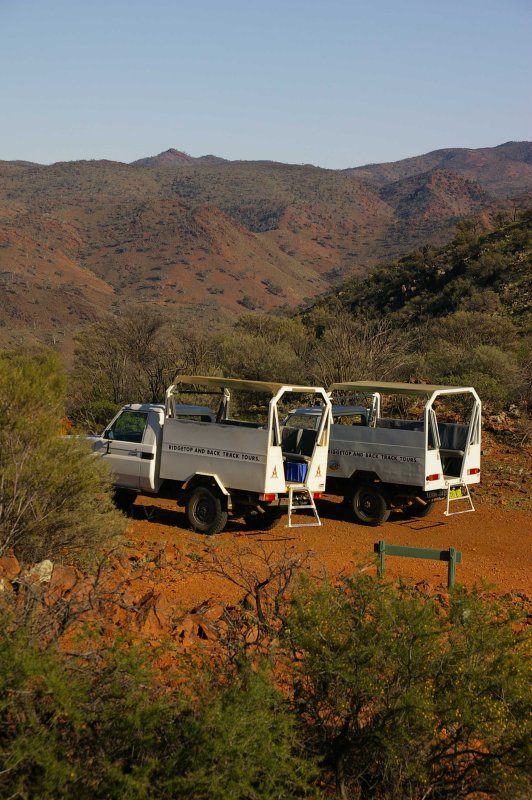 Flinders Ranges Sep 05 041