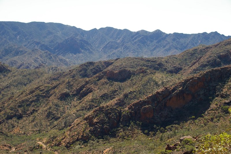 Flinders Ranges Sep 05 045