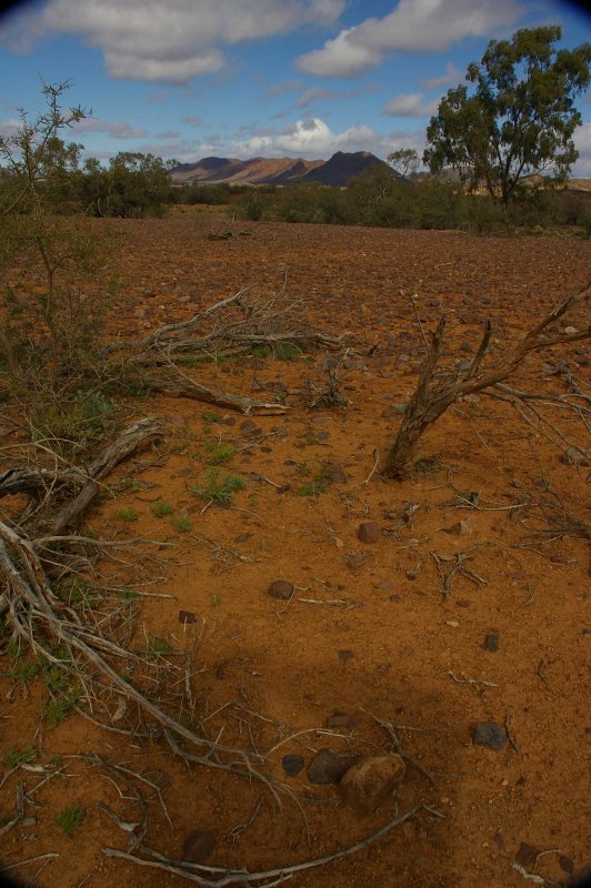 Flinders Ranges Sep 05 050