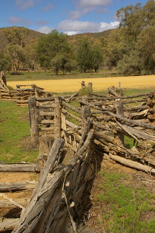 Flinders Ranges Sep 05 057