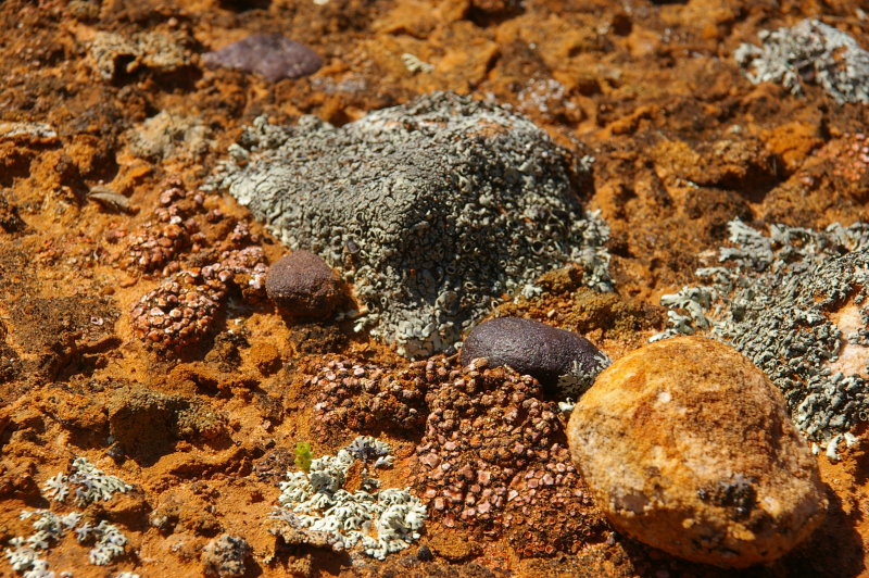 Flinders Ranges Sep 05 063