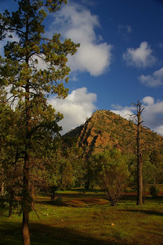 Flinders Ranges Sep 05 070