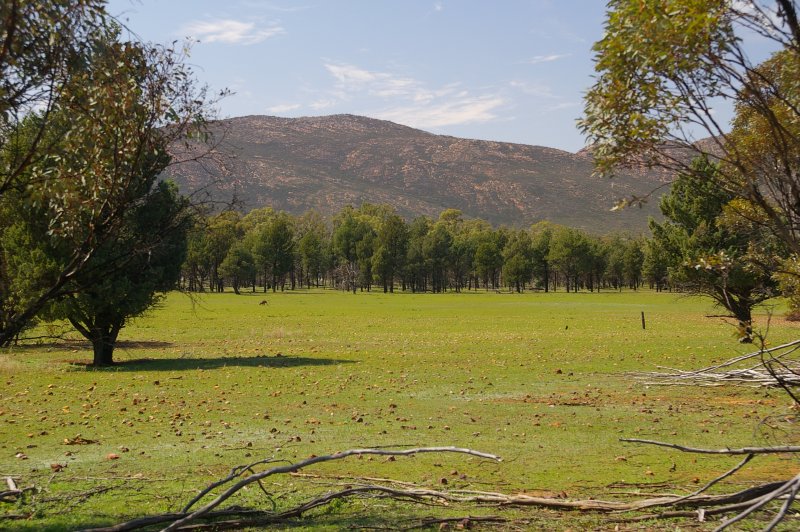 Flinders Ranges Sep 05 074