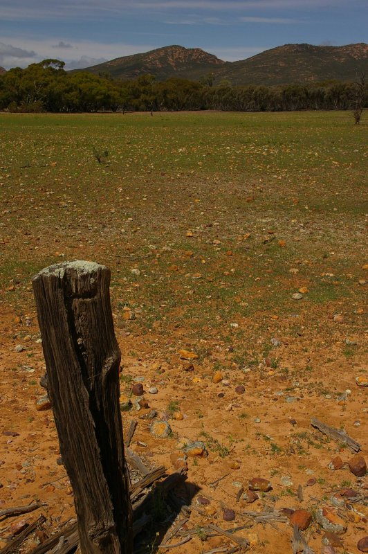 Flinders Ranges Sep 05 076