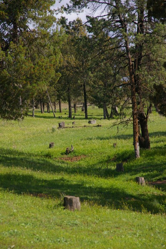 Flinders Ranges Sep 05 085