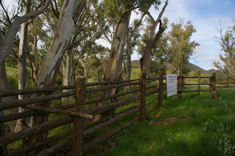 Flinders Ranges Sep 05 092