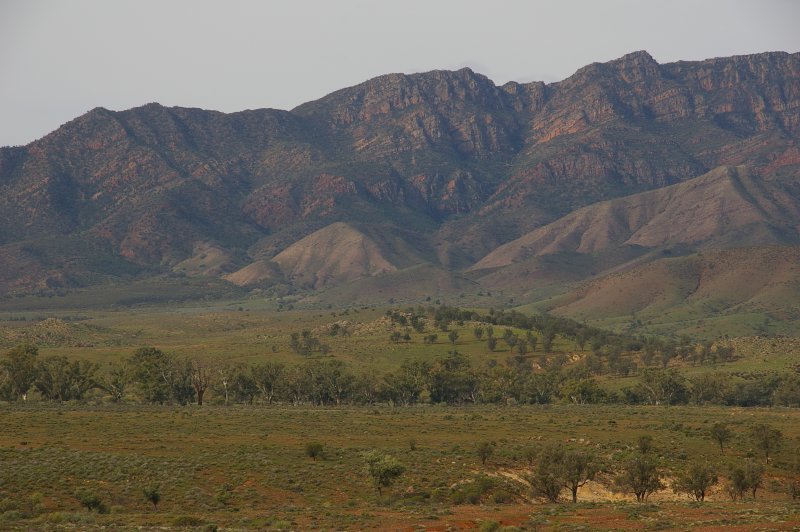 Flinders Ranges Sep 05 096