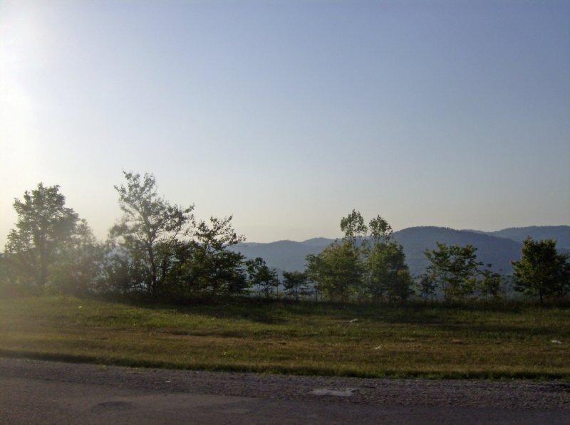 HPIM2938.jpg