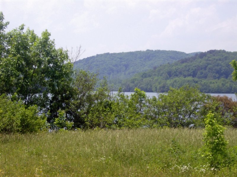 HPIM2973.jpg