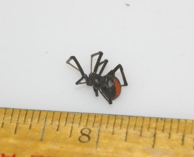 Red Back Spider Xmas 2006