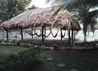 hammocks at La Ceiba