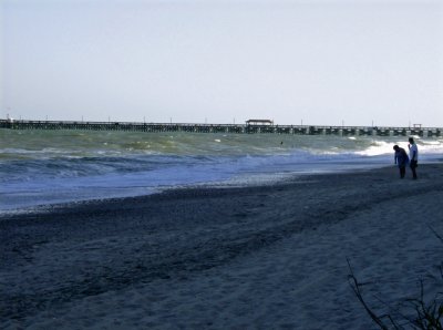 g6/29/564129/3/80249928.S2WKcNnZ.jpg