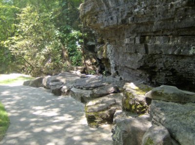 HPIM3162.jpg