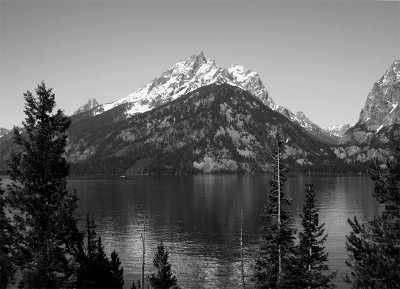 Jenny Lake Black and White.jpg