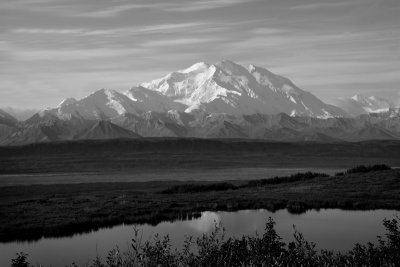 Mt McKinley Reflected in pond black and white.jpg
