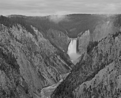 Lower Falls of the Yellowstone from Artists Point Black and White.jpg