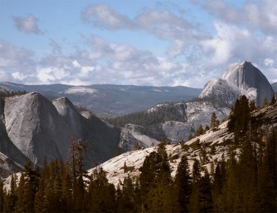 Half Dome from Olmsted Point.jpg