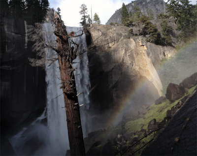 Vernal Falls Tree with Rainbow.jpg