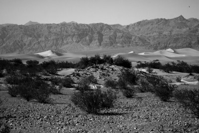 Sand Dunes in Death Valley Black and White.jpg