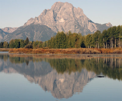 Moose Crossing Ox Bow Bend.jpg