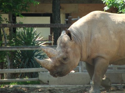 Dallas Zoo